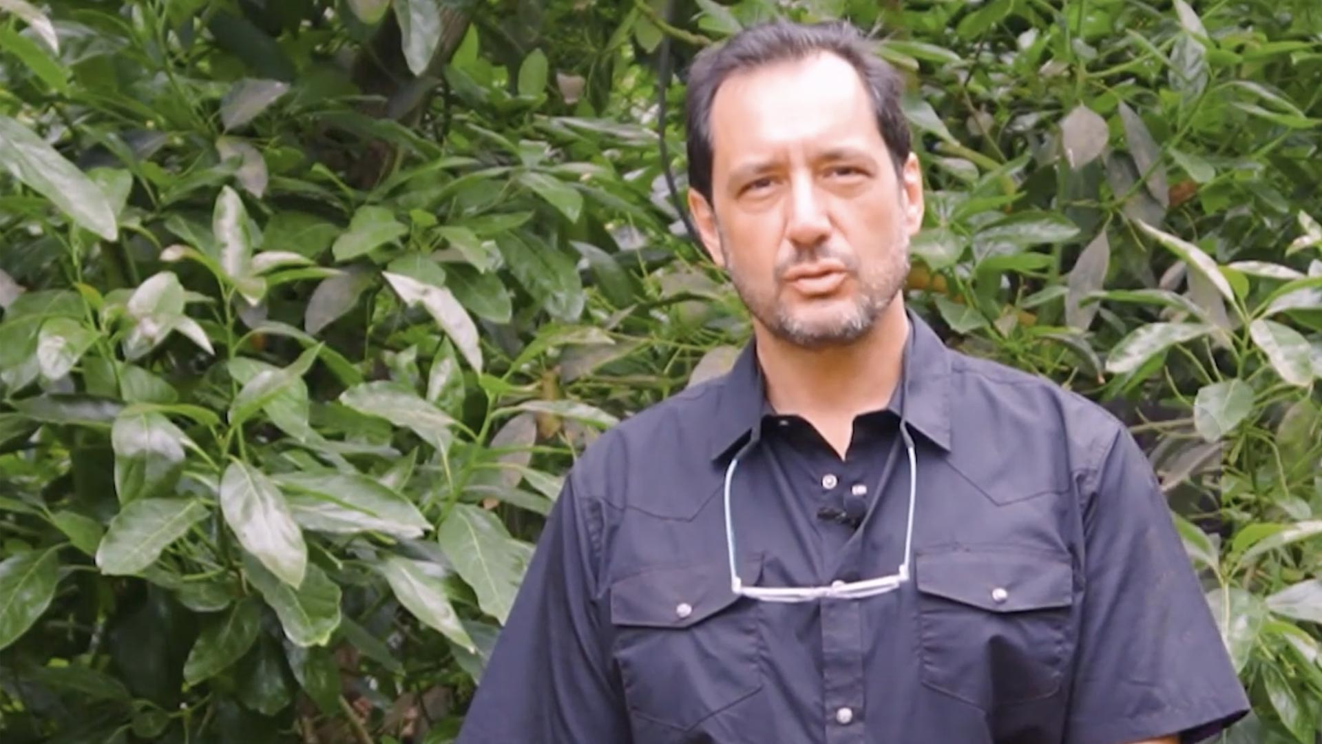 Testimonial of Antonio Rotondo
