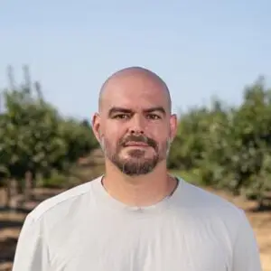 תמונה של תאי שדה